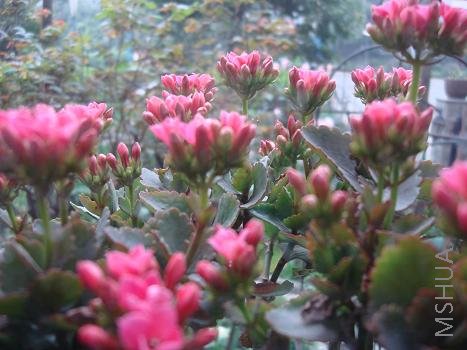 ���������￴��