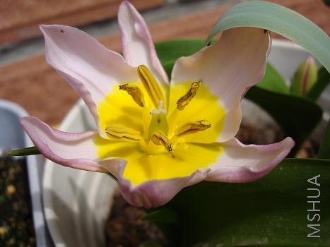 ����ԭ��������