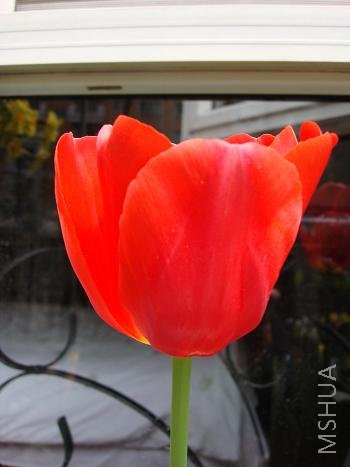 ����ɫ�����������