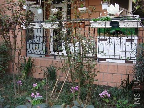 �������½���������¼�������ɯ�׺ͺ�ĵ��