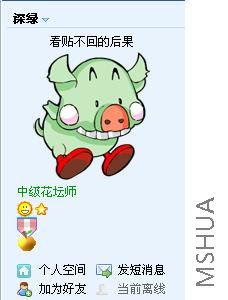 pig5.jpg