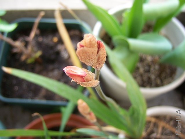100_2941.jpg