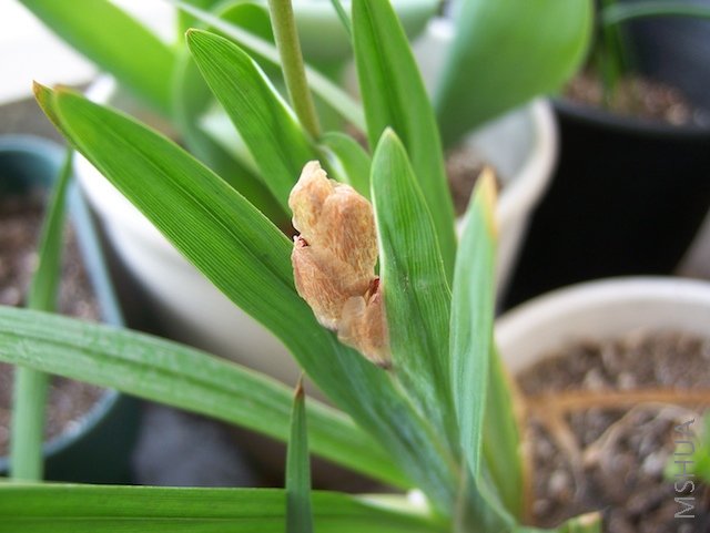 100_2936.jpg