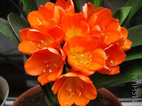 �ϰ���������500Ԫ����һ��������������������������ˡ�