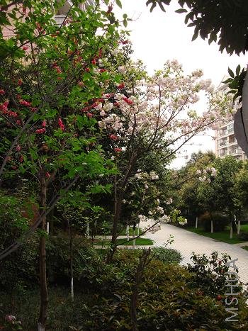 ʹ��������Ŀ������Ҳ��û���ź���