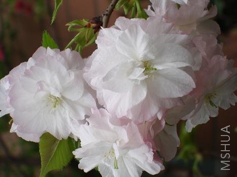 ������һ�꣬�Ͳ����˰������