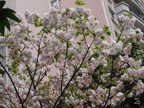 ���ӣ����04�껨��80Ԫ����