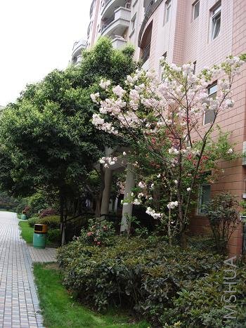 ��Ȼ���ݣ�����ʵ��̫��