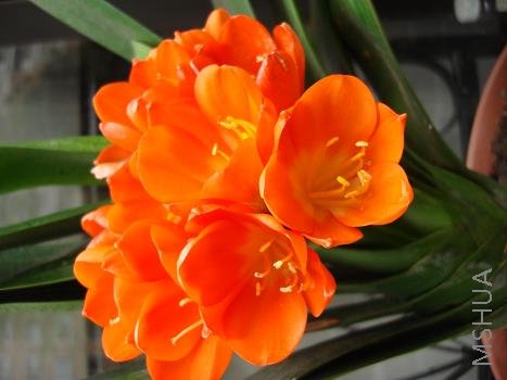 �һ���ʮ��Ԫ�������軹�����Լ���Ϊ����������ÿ���