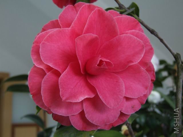 DSCF8959.jpg