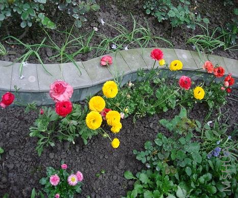 ��ë�����ڵ��ϸ�����