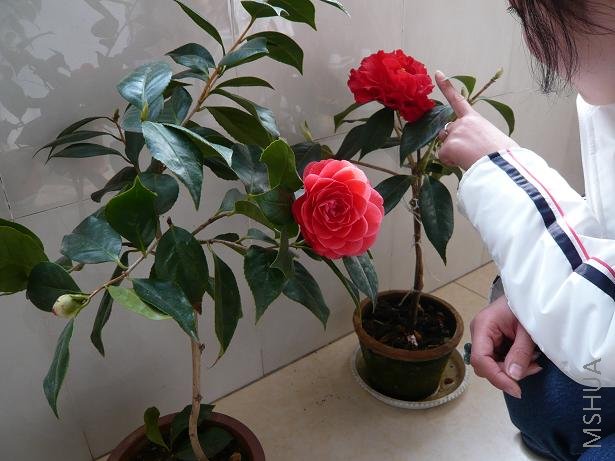 P1000179.JPG