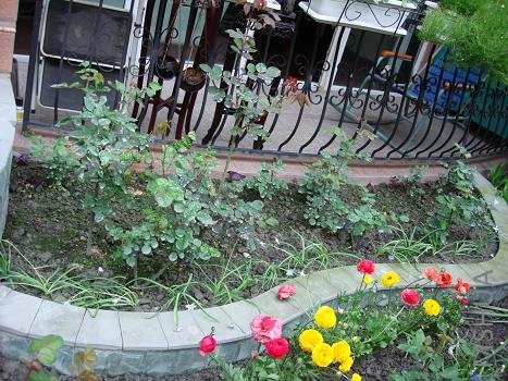 ����Ҳ��ֲ�������֪���Ƿ������һ��������һ������ز��ù�����