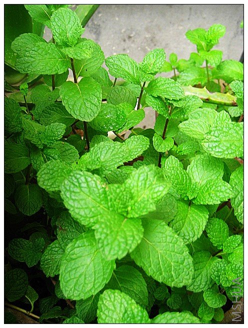 ����ʱ��Щ��ζ���úã�