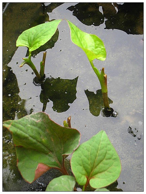 ����������