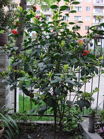 �Ͻ��ȥ����¿�����һֱ�����ڣ����м��䲻��л�������а�����ˣ��泤����