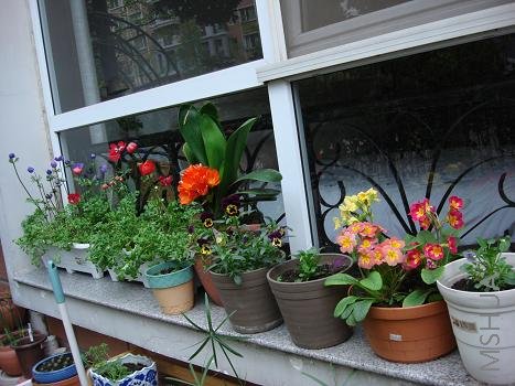 �ѿ����˵����������޼��ˣ�ʣ�µĻ�Ҳ�Ѿ����ࡣ