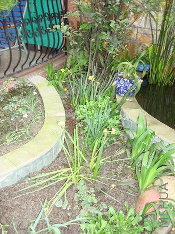 ��ˮ����ֲ�������ˣ��������껹�ܿ�����