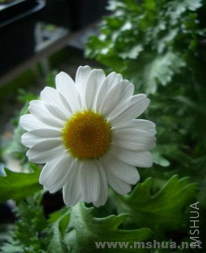 ���˼ҵ������