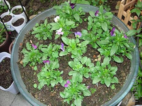 �����͸��ҵĽ���������