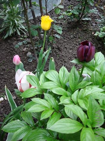 ���������Ľ�������ÿ����ɫ����һ��