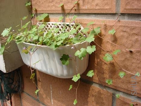 ���ø���С���ӿ�����