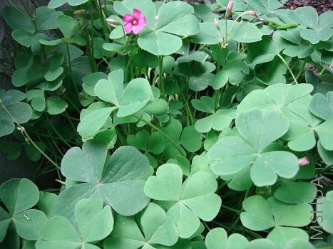 ��������ʱ���в������֣��Ǹյõ��ģ����Ƕ�һ��Ʒ��