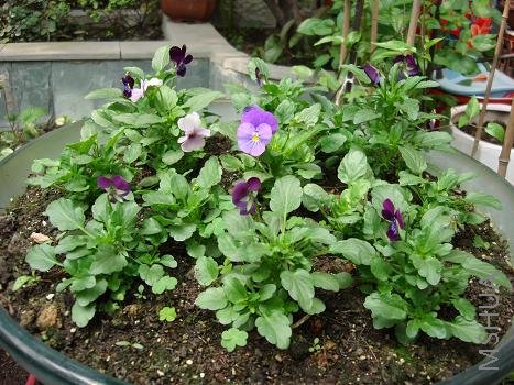 ���������ˣ��ø�л����