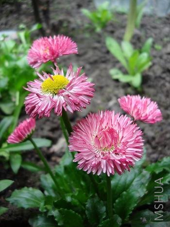 ��տ���������������һ��Ҫ���ֵ�