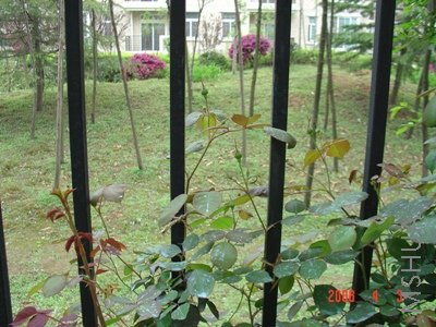 �ö໨�Ƕ���,�Ǻ�