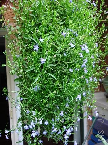 ����������ͦ���˶��죬�ֿ�ʼ���������ǵڶ��꿪����