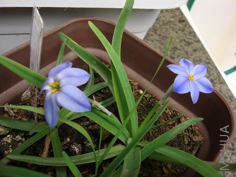 տ�����£�����߷�ζ