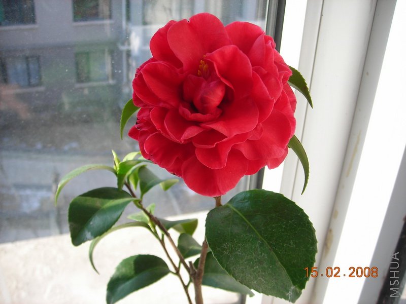 DSCN1704.jpg