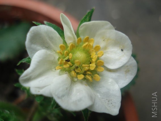 DSC04575.JPG