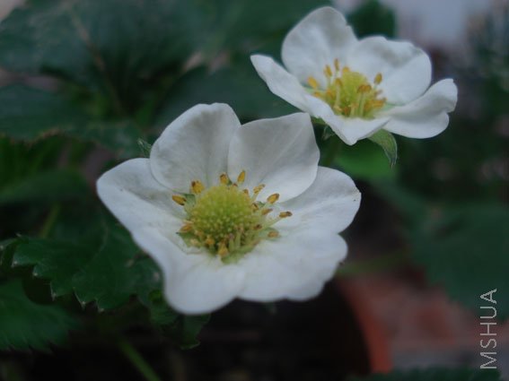 DSC04712.JPG