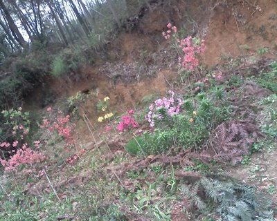 04-04-08_1617.jpg