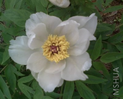 05-04-08_0947.jpg
