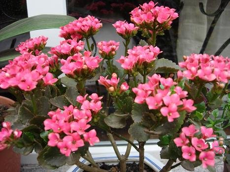 ���ٿ�������������