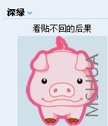 pig1.jpg