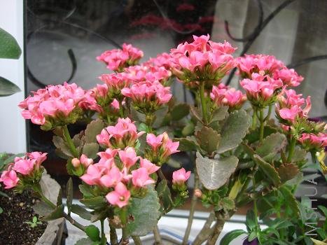 ������������ĳ��ٲ�����ˣ������޼��������ֲ�������