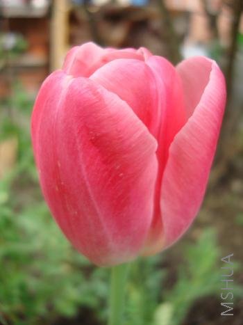 �����Ҽҵ����һ��������