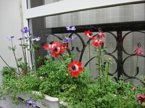 �����ӽ�β��