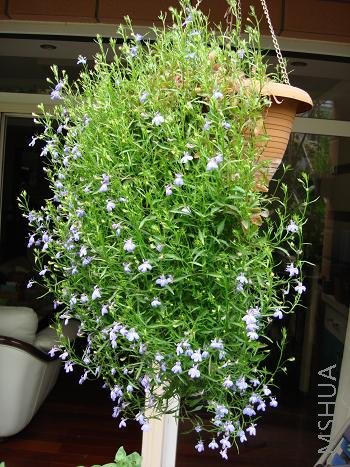 ��������Խ��Խ��