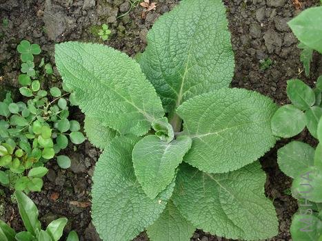 Ҳ���µ���