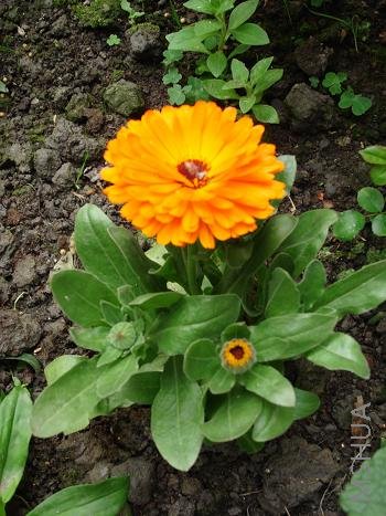 �ϰ�˵�˽�ʲô�գ���һ�������