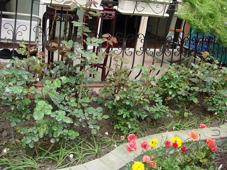 ������������¼���һ���֣�ÿ��15Ԫ