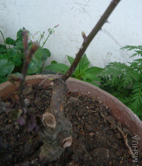 ������д