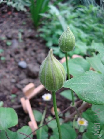 �������ۺ������������󻨰���