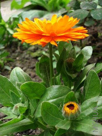 ˭�ܸ���������ʲô