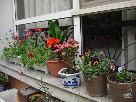 ���������ҵĴ�̨����Զ���������ʻ�